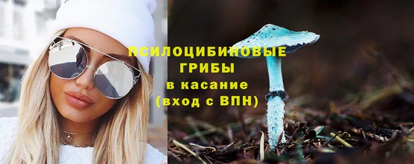 амф Лабытнанги