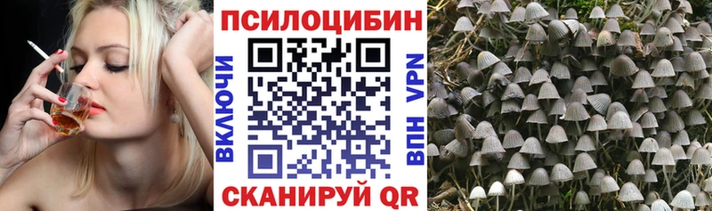 Псилоцибиновые грибы мицелий Луза